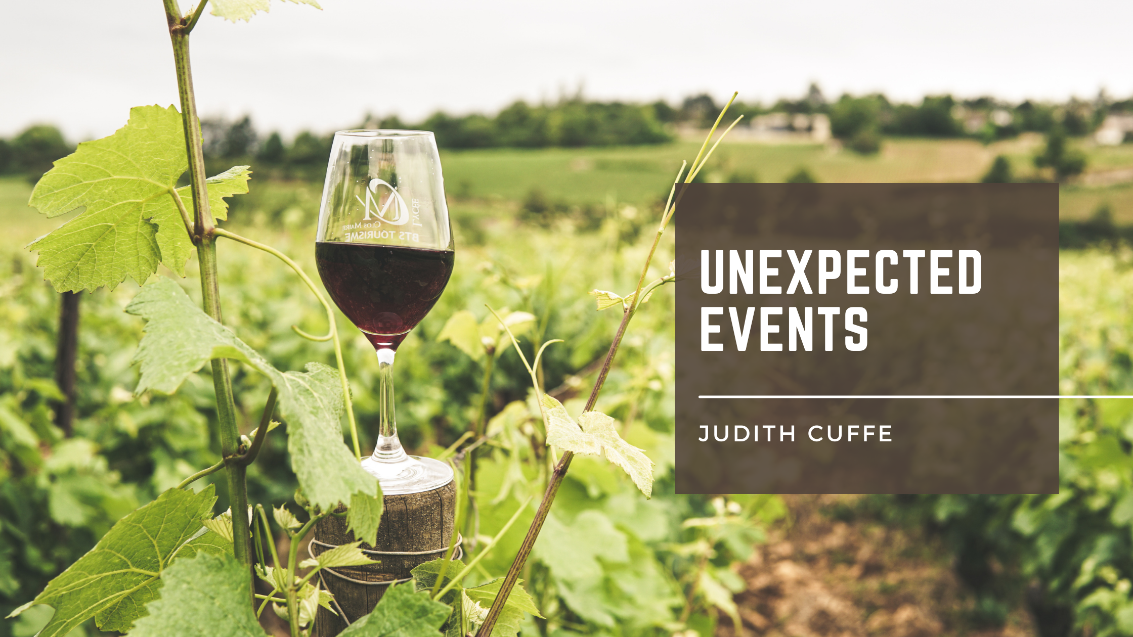 Book Review: Unexpected Events by Judith Cuffe